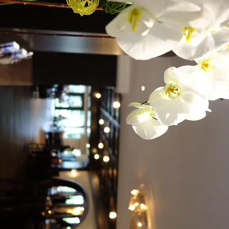 Le Mirabeau & Zermatt